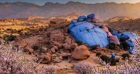 Blocs de granit rose peints en bleu et violet — les rochers peints de Tafraoute, au Maroc, s'illuminant dans l'Anti-Atlas à l'heure dorée